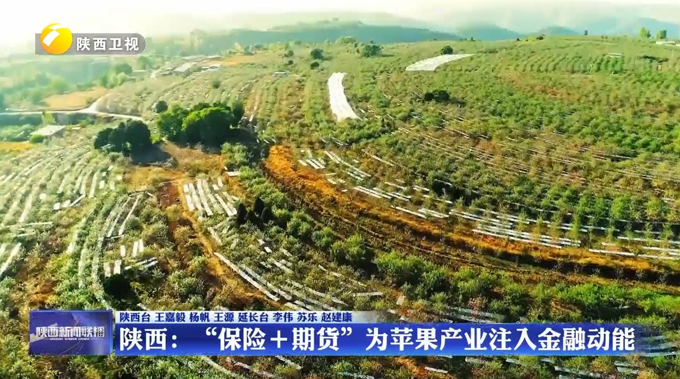 陕西：“保险+期货”为苹果产业注入金融动能
